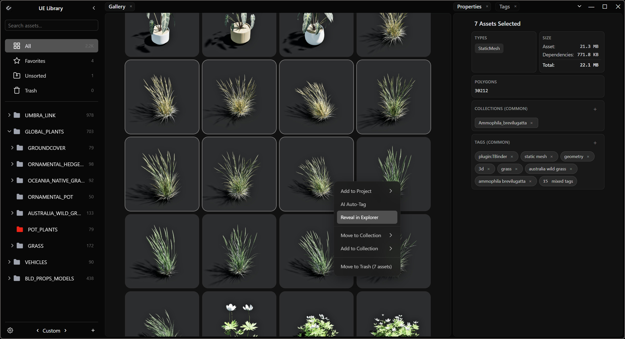 Umbra Link asset gallery with tags and collections